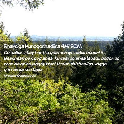 Picture 02 - Sharciga Kunoqoshadiisa 4:47 SOM - Oo dalkiisii bay hanti u qaateen iyo dalkii - Bible Verse Picture