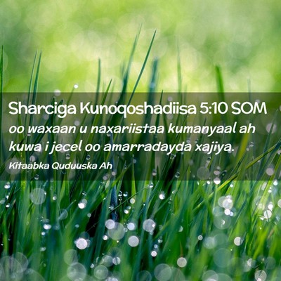 Picture 02 - Sharciga Kunoqoshadiisa 5:10 SOM - oo waxaan u naxariistaa kumanyaal ah kuwa i jecel - Bible Verse Picture