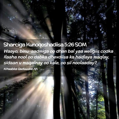 Picture 02 - Sharciga Kunoqoshadiisa 5:26 SOM - Waayo, binu-aadmiga oo dhan bal yaa weligiis - Bible Verse Picture