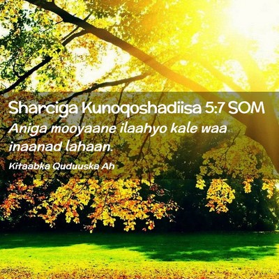 Picture 02 - Sharciga Kunoqoshadiisa 5:7 SOM - Aniga mooyaane ilaahyo kale waa inaanad - Bible Verse Picture