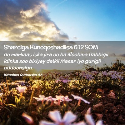 Picture 02 - Sharciga Kunoqoshadiisa 6:12 SOM - de markaas iska jira oo ha illoobina Rabbigii - Bible Verse Picture