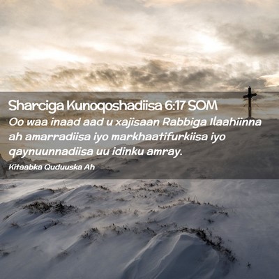 Picture 02 - Sharciga Kunoqoshadiisa 6:17 SOM - Oo waa inaad aad u xajisaan Rabbiga Ilaahiinna ah - Bible Verse Picture