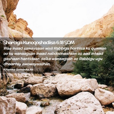 Picture 02 - Sharciga Kunoqoshadiisa 6:18 SOM - Waa inaad samaysaan wixii Rabbiga hortiisa ku - Bible Verse Picture