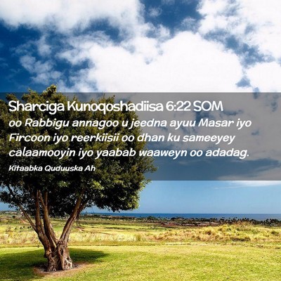 Picture 02 - Sharciga Kunoqoshadiisa 6:22 SOM - oo Rabbigu annagoo u jeedna ayuu Masar iyo - Bible Verse Picture