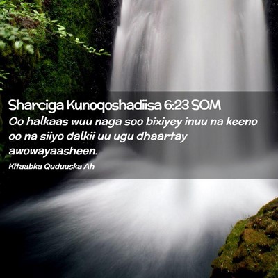Picture 02 - Sharciga Kunoqoshadiisa 6:23 SOM - Oo halkaas wuu naga soo bixiyey inuu na keeno oo - Bible Verse Picture