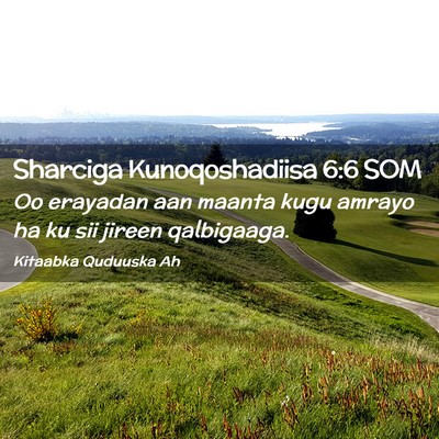 Picture 02 - Sharciga Kunoqoshadiisa 6:6 SOM - Oo erayadan aan maanta kugu amrayo ha ku sii - Bible Verse Picture
