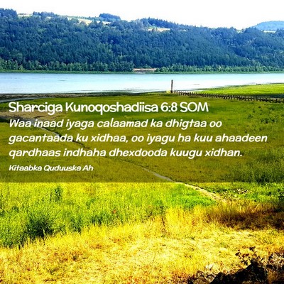 Picture 02 - Sharciga Kunoqoshadiisa 6:8 SOM - Waa inaad iyaga calaamad ka dhigtaa oo gacantaada - Bible Verse Picture