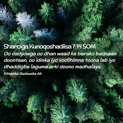 Picture 02 - Sharciga Kunoqoshadiisa 7:14 SOM - Oo dadyowga oo dhan waad ka barako badnaan - Bible Verse Picture