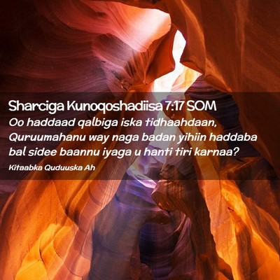 Picture 02 - Sharciga Kunoqoshadiisa 7:17 SOM - Oo haddaad qalbiga iska tidhaahdaan, Quruumahanu - Bible Verse Picture