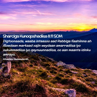Picture 02 - Sharciga Kunoqoshadiisa 8:11 SOM - Digtoonaada, waaba intaasoo aad Rabbiga - Bible Verse Picture