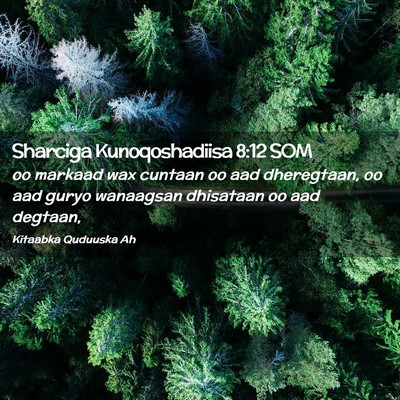Picture 02 - Sharciga Kunoqoshadiisa 8:12 SOM - oo markaad wax cuntaan oo aad dheregtaan, oo aad - Bible Verse Picture