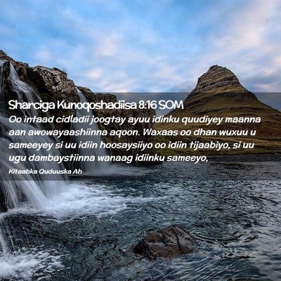 Picture 02 - Sharciga Kunoqoshadiisa 8:16 SOM - Oo intaad cidladii joogtay ayuu idinku quudiyey - Bible Verse Picture