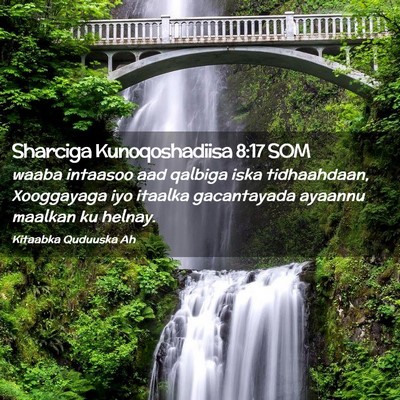 Picture 02 - Sharciga Kunoqoshadiisa 8:17 SOM - waaba intaasoo aad qalbiga iska tidhaahdaan, - Bible Verse Picture