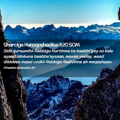 Picture 02 - Sharciga Kunoqoshadiisa 8:20 SOM - Sidii quruumihii Rabbigu hortiinna ka baabbi'iyey - Bible Verse Picture
