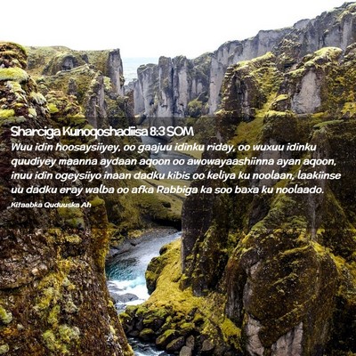 Picture 02 - Sharciga Kunoqoshadiisa 8:3 SOM - Wuu idin hoosaysiiyey, oo gaajuu idinku riday, oo - Bible Verse Picture