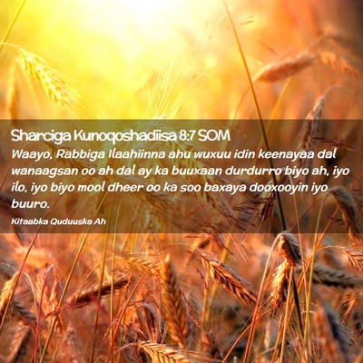 Picture 02 - Sharciga Kunoqoshadiisa 8:7 SOM - Waayo, Rabbiga Ilaahiinna ahu wuxuu idin keenayaa - Bible Verse Picture