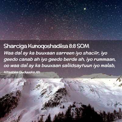 Picture 02 - Sharciga Kunoqoshadiisa 8:8 SOM - Waa dal ay ka buuxaan sarreen iyo shaciir, iyo - Bible Verse Picture