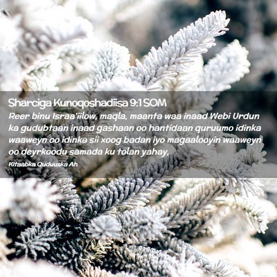 Picture 02 - Sharciga Kunoqoshadiisa 9:1 SOM - Reer binu Israa'iilow, maqla, maanta waa inaad - Bible Verse Picture