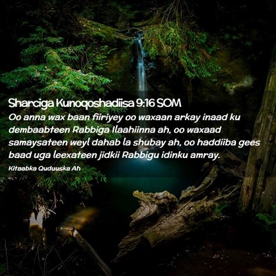Picture 02 - Sharciga Kunoqoshadiisa 9:16 SOM - Oo anna wax baan fiiriyey oo waxaan arkay inaad - Bible Verse Picture