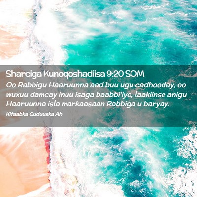Picture 02 - Sharciga Kunoqoshadiisa 9:20 SOM - Oo Rabbigu Haaruunna aad buu ugu cadhooday, oo - Bible Verse Picture