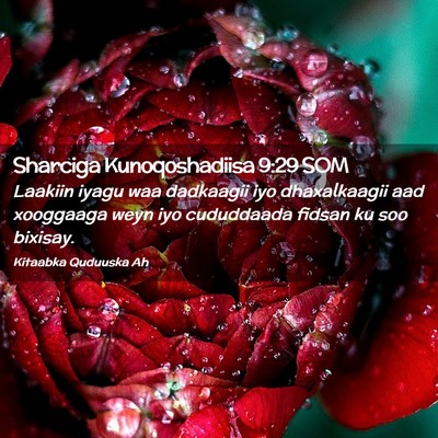 Picture 02 - Sharciga Kunoqoshadiisa 9:29 SOM - Laakiin iyagu waa dadkaagii iyo dhaxalkaagii aad - Bible Verse Picture