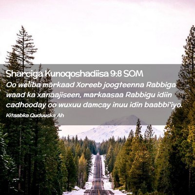 Picture 02 - Sharciga Kunoqoshadiisa 9:8 SOM - Oo weliba markaad Xoreeb joogteenna Rabbiga waad - Bible Verse Picture