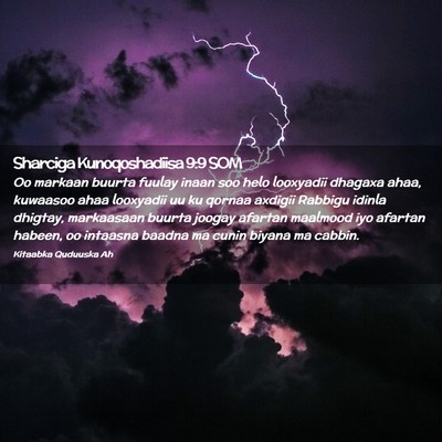 Picture 02 - Sharciga Kunoqoshadiisa 9:9 SOM - Oo markaan buurta fuulay inaan soo helo looxyadii - Bible Verse Picture