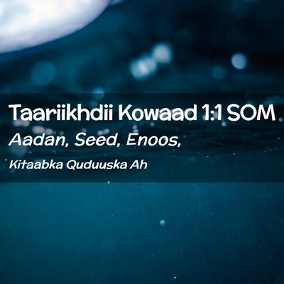 Picture 02 - Taariikhdii Kowaad 1:1 SOM - Aadan, Seed, - Bible Verse Picture