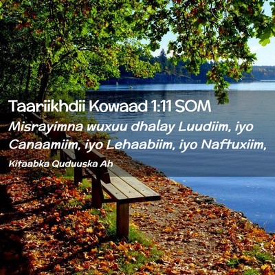 Picture 02 - Taariikhdii Kowaad 1:11 SOM - Misrayimna wuxuu dhalay Luudiim, iyo Canaamiim, - Bible Verse Picture
