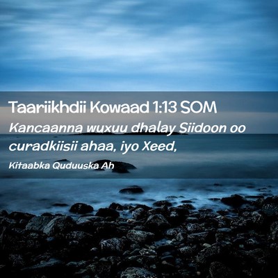 Picture 02 - Taariikhdii Kowaad 1:13 SOM - Kancaanna wuxuu dhalay Siidoon oo curadkiisii - Bible Verse Picture