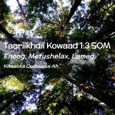 Picture 02 - Taariikhdii Kowaad 1:3 SOM - Enoog, Metushelax, - Bible Verse Picture