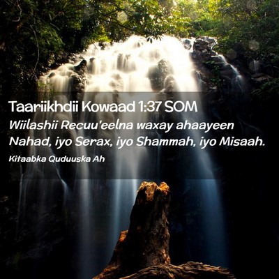 Picture 02 - Taariikhdii Kowaad 1:37 SOM - Wiilashii Recuu'eelna waxay ahaayeen Nahad, iyo - Bible Verse Picture