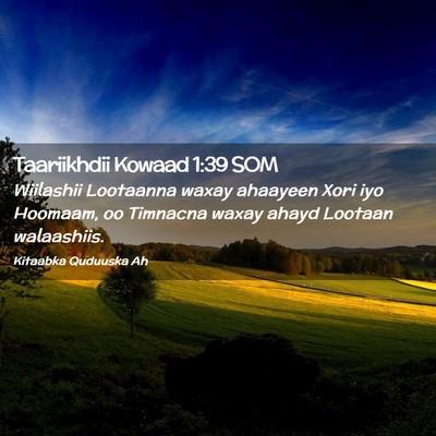 Picture 02 - Taariikhdii Kowaad 1:39 SOM - Wiilashii Lootaanna waxay ahaayeen Xori iyo - Bible Verse Picture