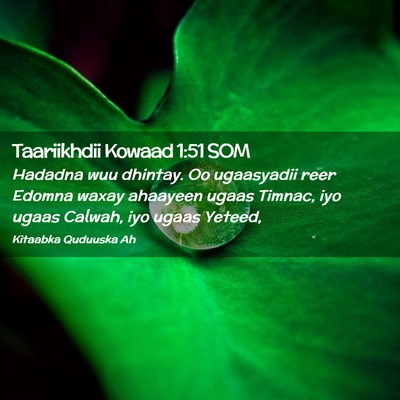 Picture 02 - Taariikhdii Kowaad 1:51 SOM - Hadadna wuu dhintay. Oo ugaasyadii reer Edomna - Bible Verse Picture