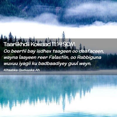 Picture 02 - Taariikhdii Kowaad 11:14 SOM - Oo beertii bay isdhex taageen oo daafaceen, wayna - Bible Verse Picture