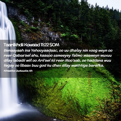 Picture 02 - Taariikhdii Kowaad 11:22 SOM - Benaayaah ina Yehooyaadaac, oo uu dhalay nin xoog - Bible Verse Picture