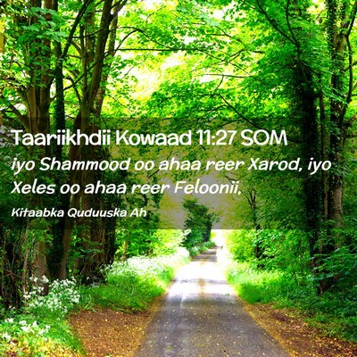 Picture 02 - Taariikhdii Kowaad 11:27 SOM - iyo Shammood oo ahaa reer Xarod, iyo Xeles oo - Bible Verse Picture