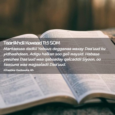 Picture 02 - Taariikhdii Kowaad 11:5 SOM - Markaasaa dadkii Yebuus degganaa waxay Daa'uud ku - Bible Verse Picture
