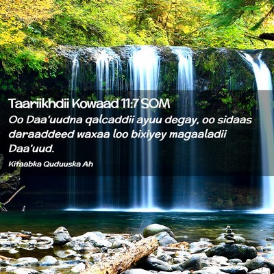 Picture 02 - Taariikhdii Kowaad 11:7 SOM - Oo Daa'uudna qalcaddii ayuu degay, oo sidaas - Bible Verse Picture