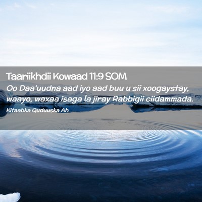 Picture 02 - Taariikhdii Kowaad 11:9 SOM - Oo Daa'uudna aad iyo aad buu u sii xoogaystay, - Bible Verse Picture