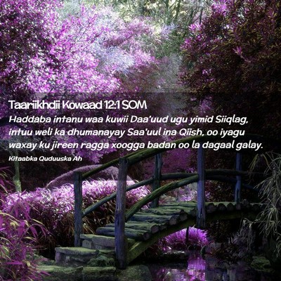 Picture 02 - Taariikhdii Kowaad 12:1 SOM - Haddaba intanu waa kuwii Daa'uud ugu yimid - Bible Verse Picture