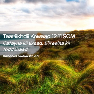 Picture 02 - Taariikhdii Kowaad 12:11 SOM - Catayna kii lixaad, Elii'eelna kii - Bible Verse Picture