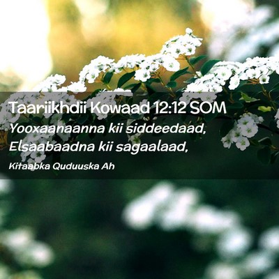 Picture 02 - Taariikhdii Kowaad 12:12 SOM - Yooxaanaanna kii siddeedaad, Elsaabaadna kii - Bible Verse Picture