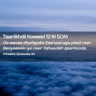 Picture 02 - Taariikhdii Kowaad 12:16 SOM - Oo waxaa dhufayska Daa'uud ugu yimid reer - Bible Verse Picture
