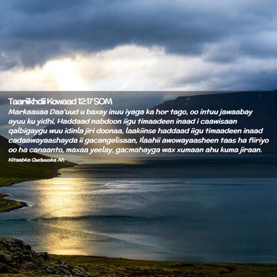 Picture 02 - Taariikhdii Kowaad 12:17 SOM - Markaasaa Daa'uud u baxay inuu iyaga ka hor tago, - Bible Verse Picture