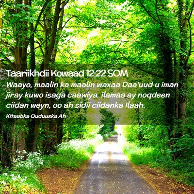 Picture 02 - Taariikhdii Kowaad 12:22 SOM - Waayo, maalin ka maalin waxaa Daa'uud u iman - Bible Verse Picture