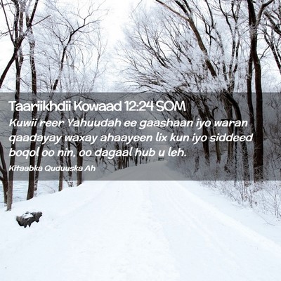 Picture 02 - Taariikhdii Kowaad 12:24 SOM - Kuwii reer Yahuudah ee gaashaan iyo waran - Bible Verse Picture