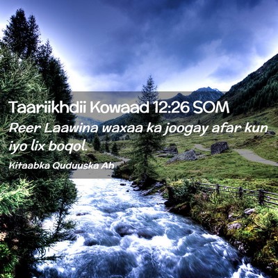 Picture 02 - Taariikhdii Kowaad 12:26 SOM - Reer Laawina waxaa ka joogay afar kun iyo lix - Bible Verse Picture