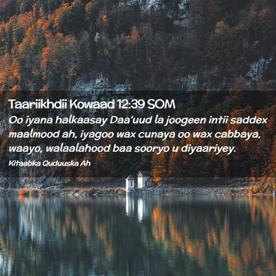 Picture 02 - Taariikhdii Kowaad 12:39 SOM - Oo iyana halkaasay Daa'uud la joogeen intii - Bible Verse Picture