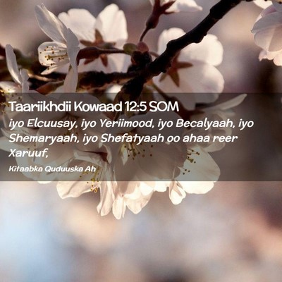 Picture 02 - Taariikhdii Kowaad 12:5 SOM - iyo Elcuusay, iyo Yeriimood, iyo Becalyaah, iyo - Bible Verse Picture